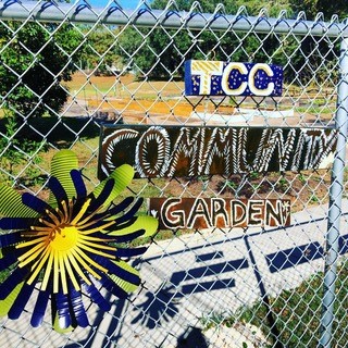 TCC community garden